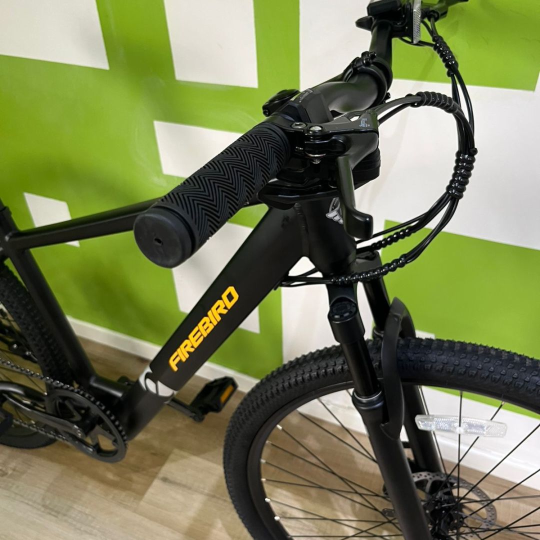 bicicleta-electrica-r29-mtb-firebird-311