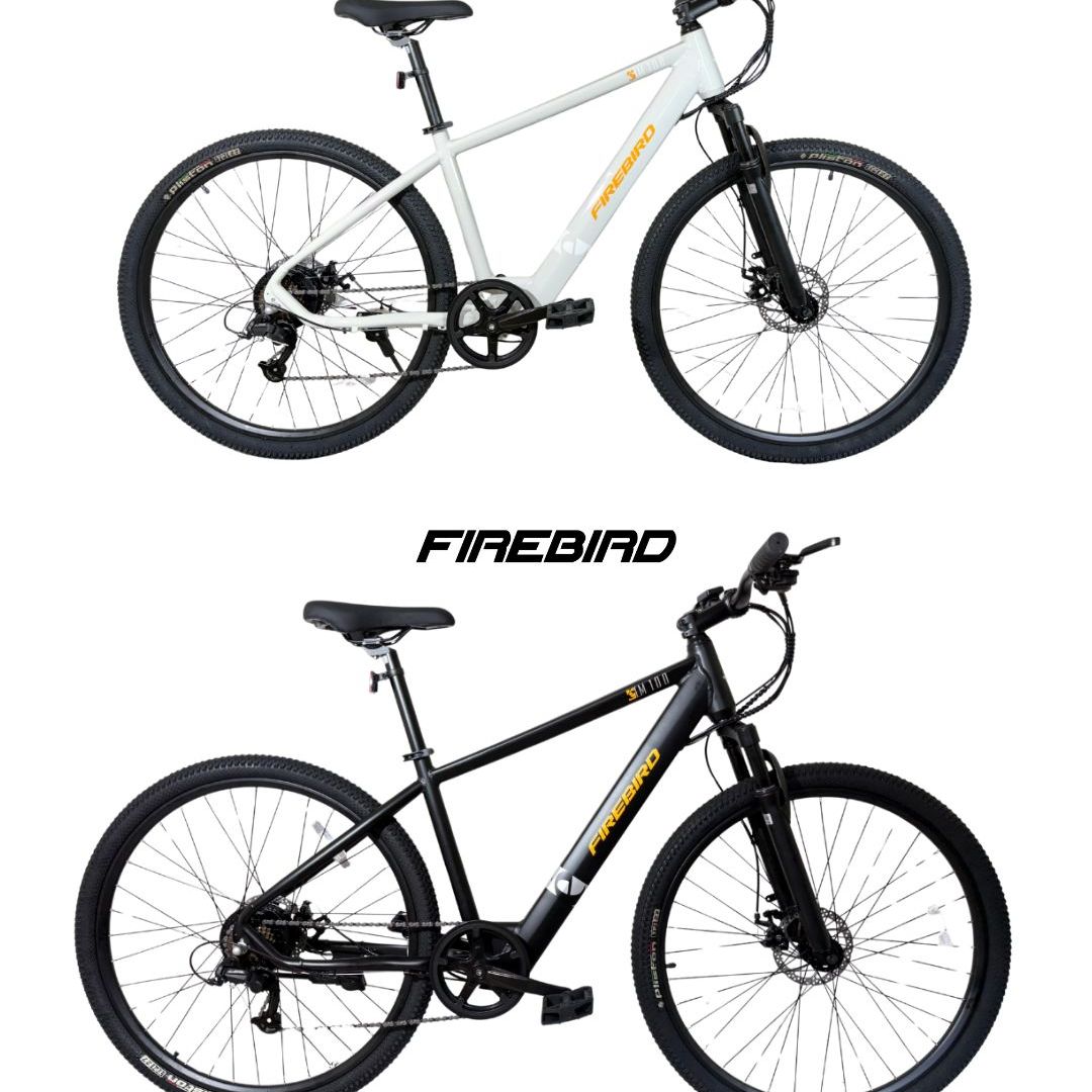 bicicleta-electrica-r29-mtb-firebird-311
