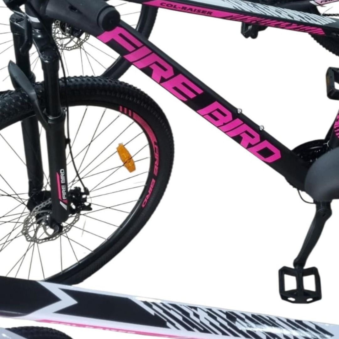 bicicleta-dama-r29-acec-talle-16-21v-negro-con-fuxia-3152