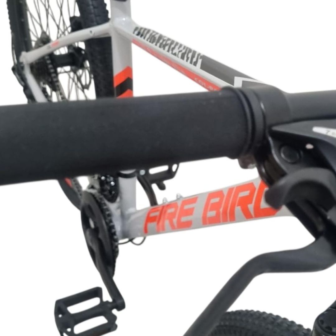 bicicleta-r29-mgpp-talle-16-21-v-gris-con-negro