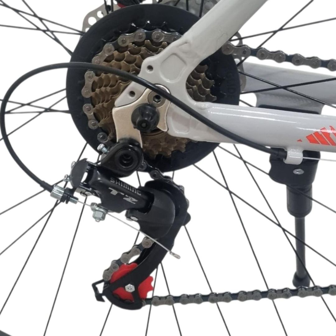 bicicleta-r29-mgpp-talle-20-21-v-negro-con-gris