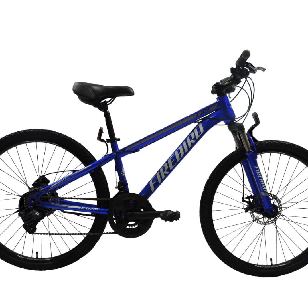 bicicleta-mtb-r26-21v-fdisco-horq-susp