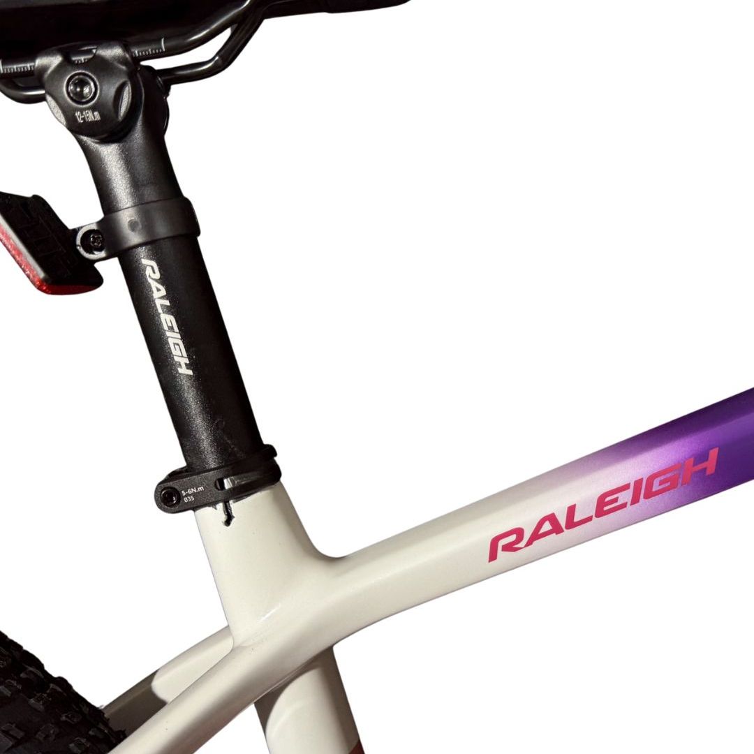 bicicleta-raleigh-dama-80-r29-165quot-rosa-con-blanco-y-purpura-3346