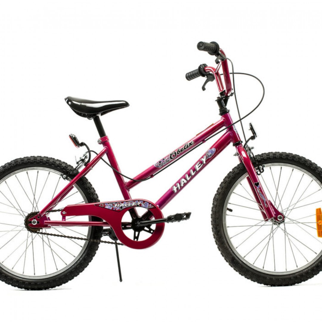 bicicleta-cross-r20-dama