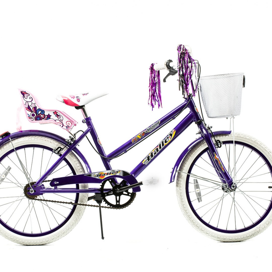 bicicleta-r20-dama-de-lujo-con-canasto-guardabarros-y-portamueca