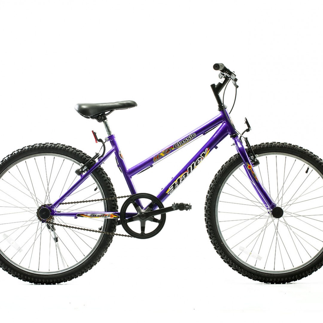 bicicleta-mtb-r24-dama-1v