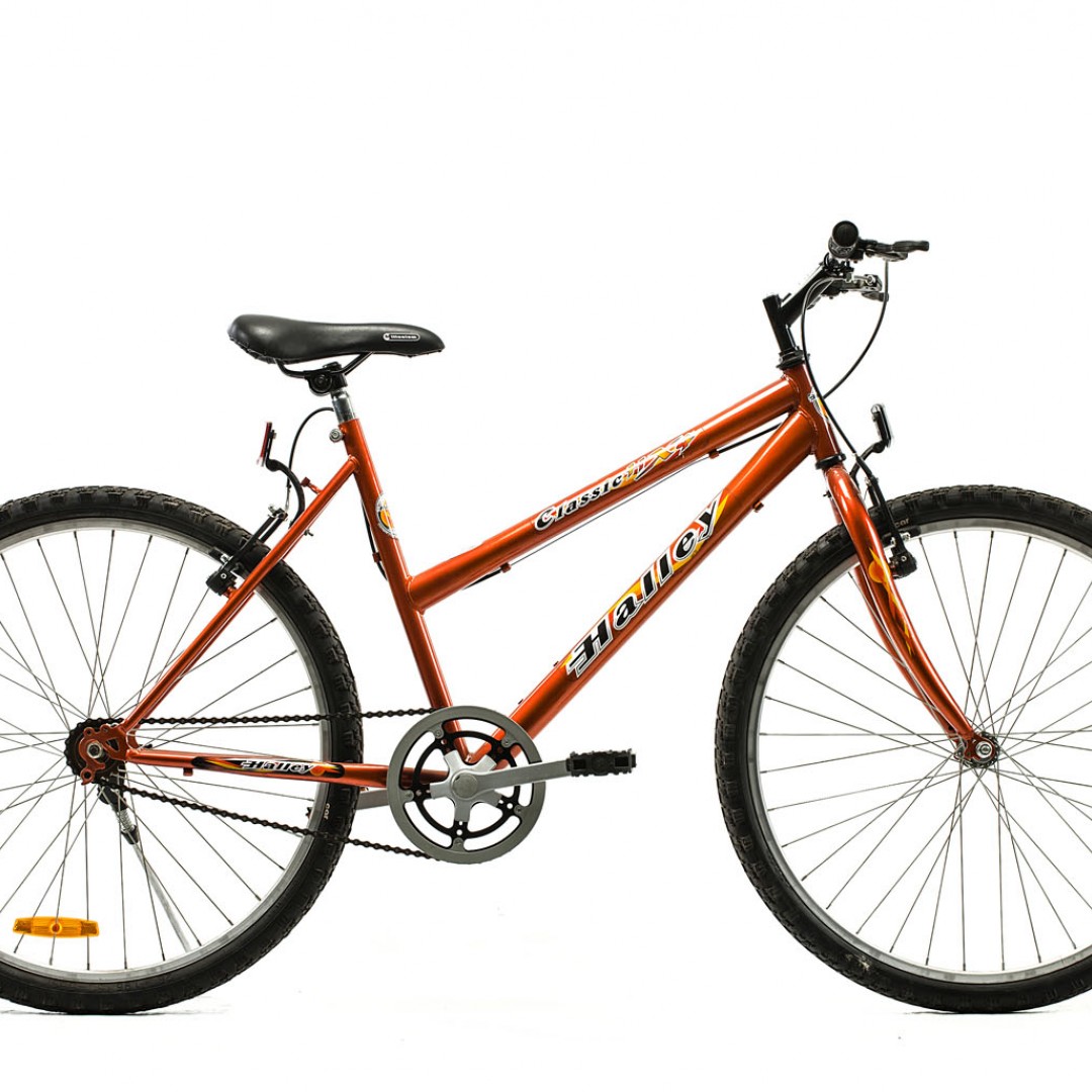 bicicleta-mtb-r26-dama-1v