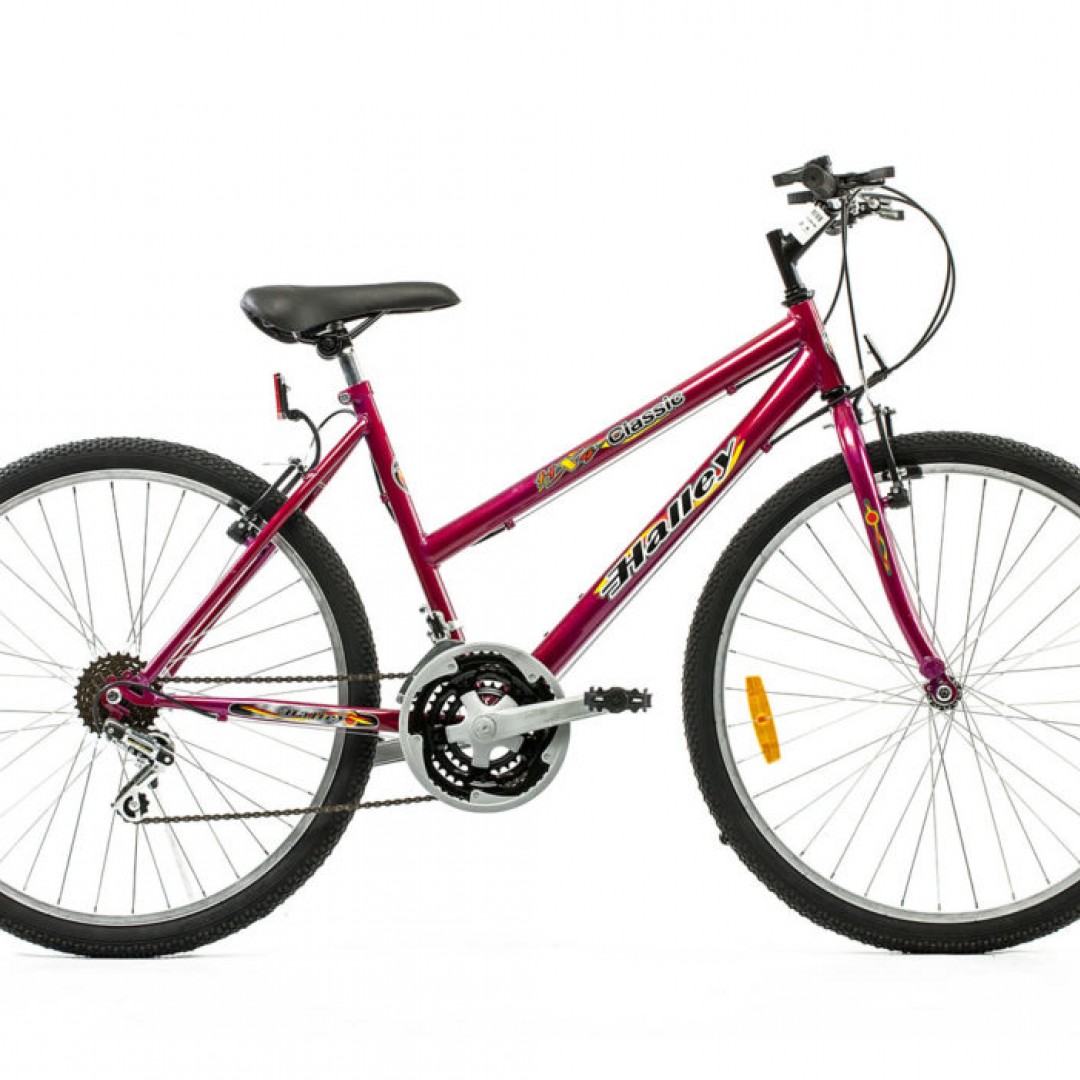 bicicleta-mtb-r26-dama-18v