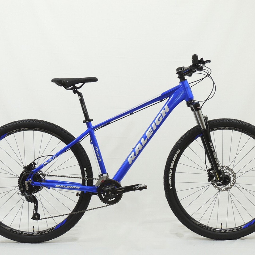 raleigh-40-r29-15-azul