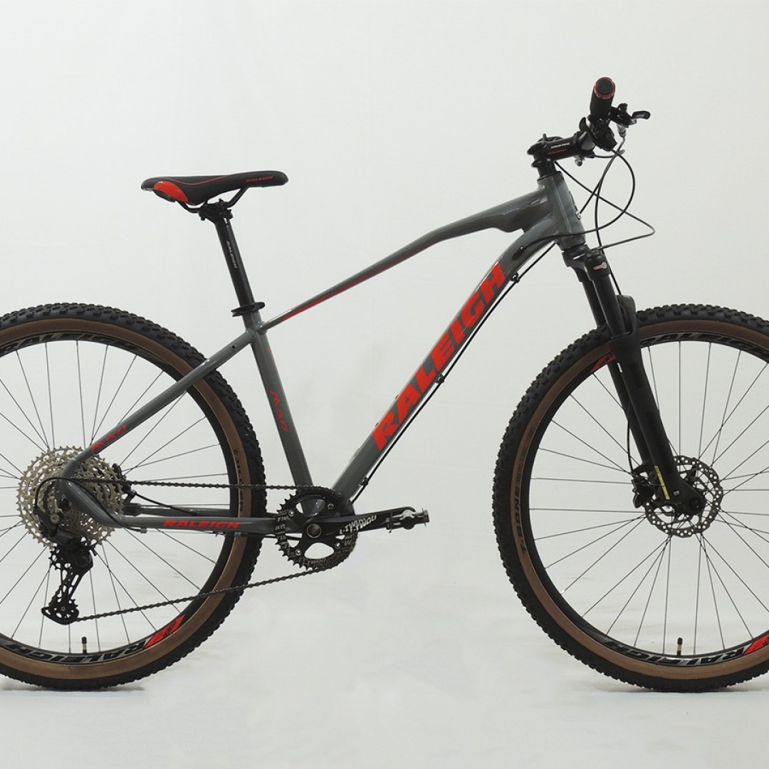 raleigh-50-r29-19-gris-con-azul