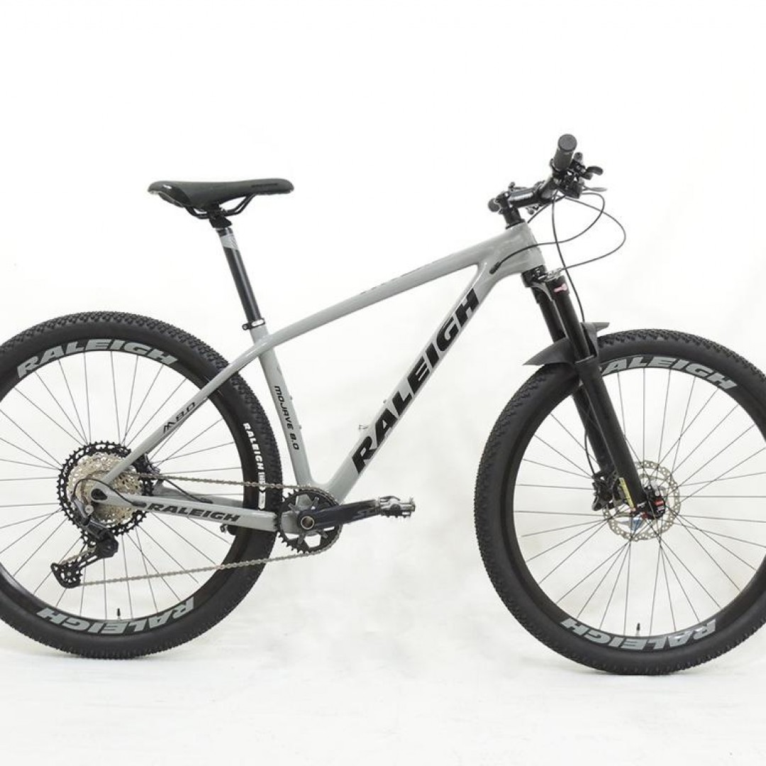 raleigh-80-r29-17-gris-con-negro